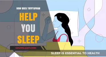 Tryptophan's Role in Enhancing Sleep Quality and Relaxation