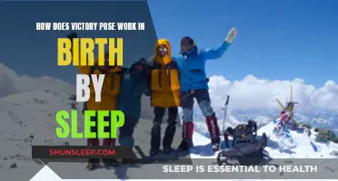 Victory Poses: Unlocking the Secrets of Birth by Sleep