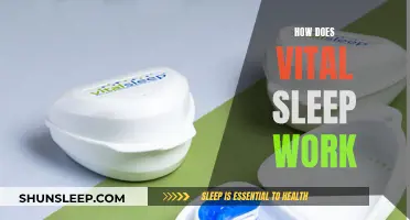 The Science Behind Vital Sleep: How Does It Work?