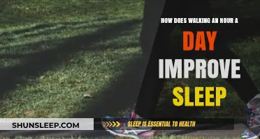 Boost Your Sleep Quality: The Power of a Daily Hour-Long Walk