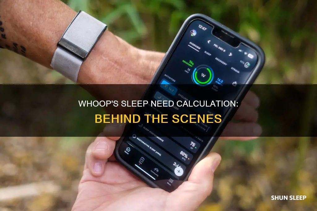 how does whoop calculate sleep need