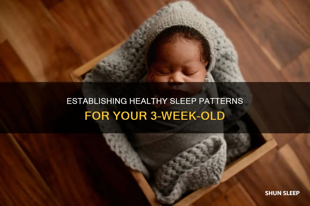how does your 3 week old sleep