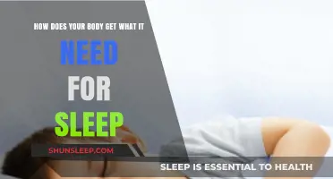 Unlocking Restful Sleep: How Your Body Gets What It Needs