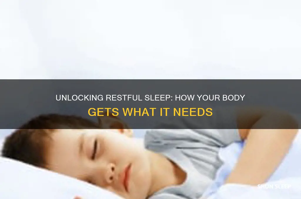 how does your body get what it need for sleep