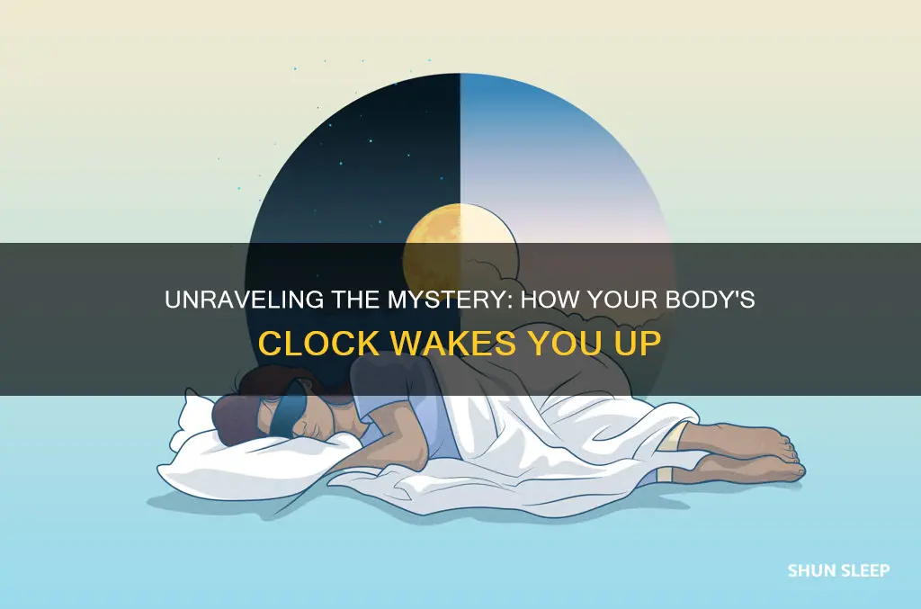 how does your body wake itself up