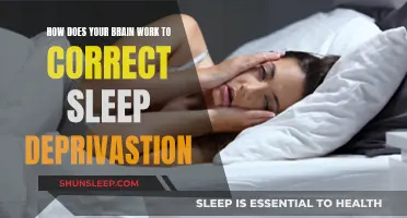 Brain Recovery: Sleep Deprivation and Cognitive Function