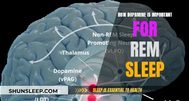 Dopamine's Role in REM Sleep: Understanding the Science