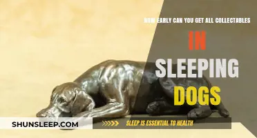 Unlocking Sleeping Dogs Collectables: Early Strategies for Completion