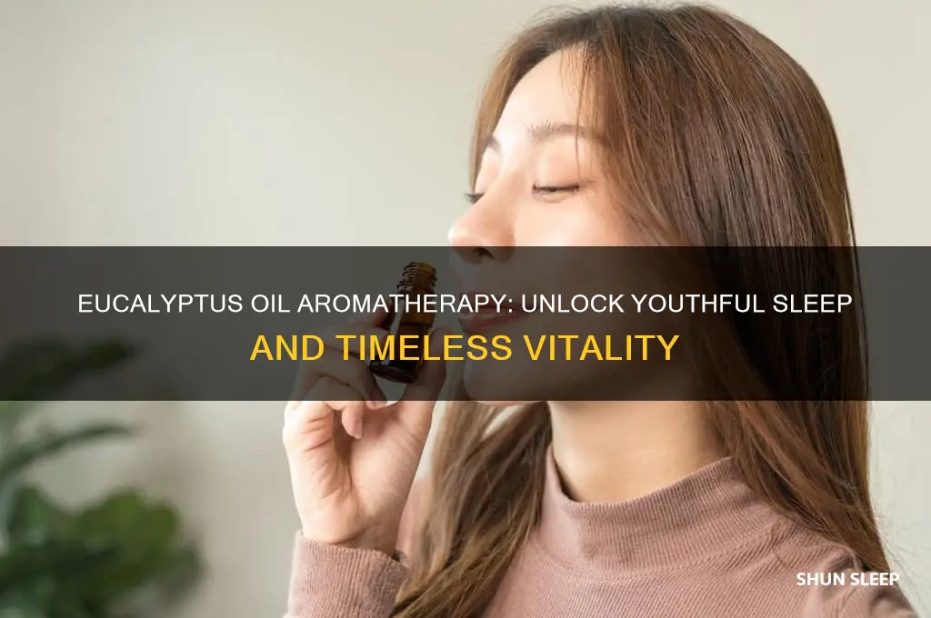 how eucalyptus oil aromatherapy helps you sleep defy your age