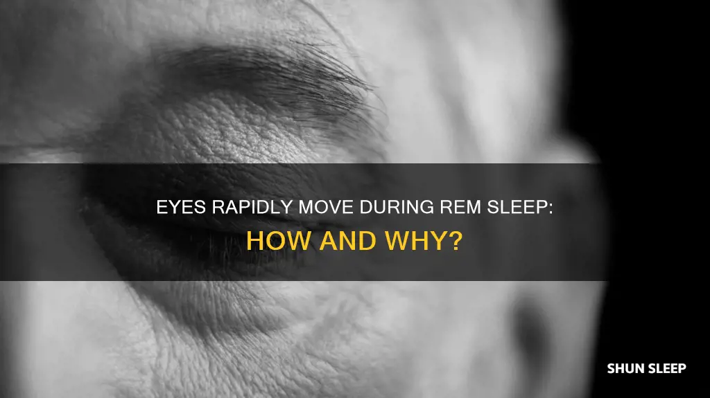 how fast do eyes move in rem sleep