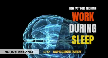 Brain Activity During Sleep: Speed and Efficiency
