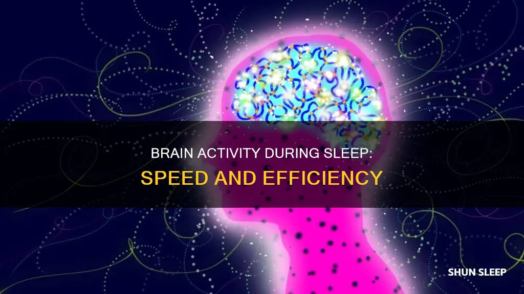 how fast does the brain work during sleep