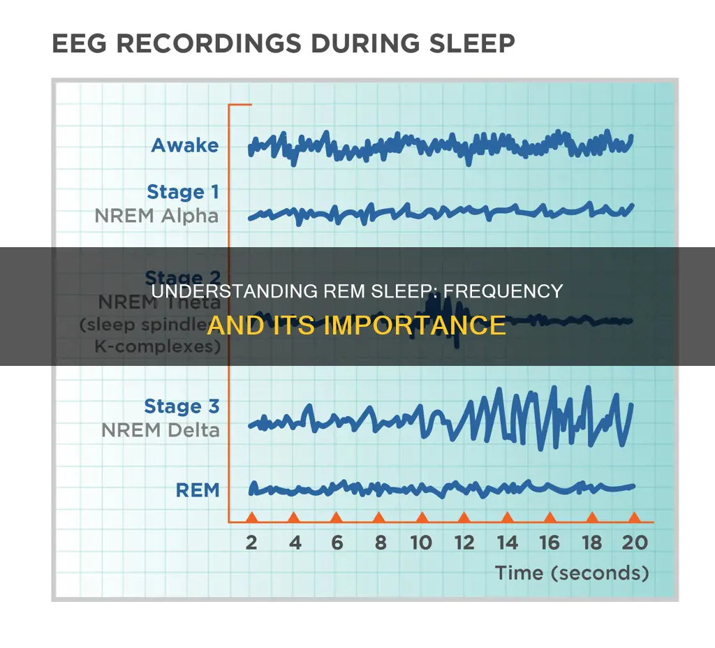 how frequent is rem sleep