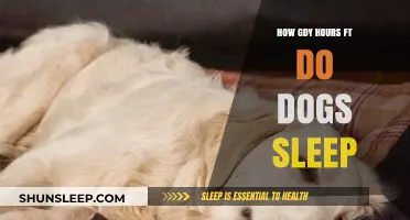 Understanding Canine Sleep Patterns: How Many Hours Do Dogs Sleep?