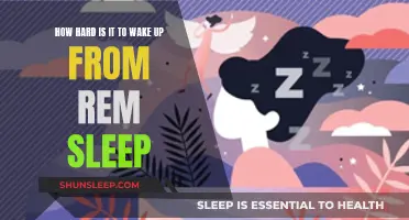 REM Sleep: Hard to Wake Up From