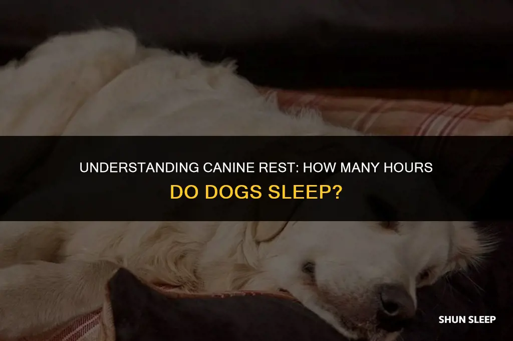 how hours do dogs sleep