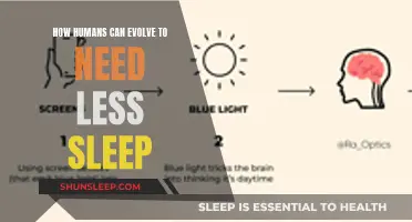 The Evolution of Sleep: Less is More