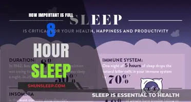 Unlocking Productivity: The Power of a Full Night's Sleep