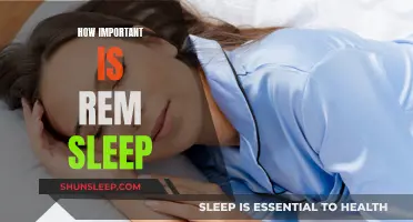 Understanding REM Sleep: Vital to Our Wellbeing