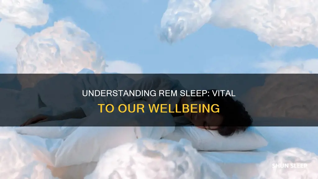 how important is rem sleep