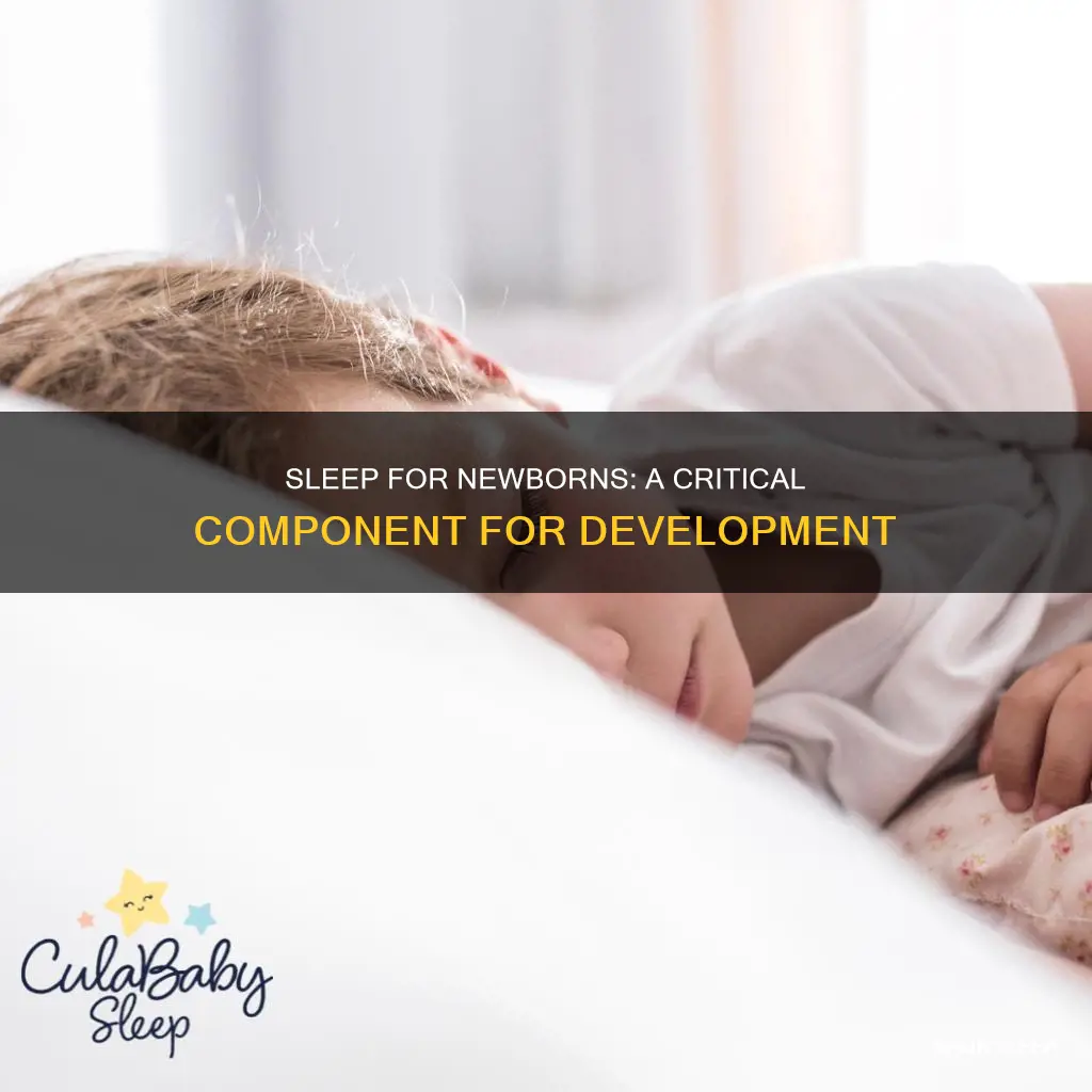 how important is sleep for newborns