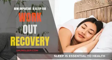 Sleep's Impact on Workout Recovery: What You Need to Know
