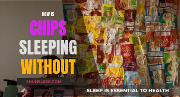 Chips' Sleep: A Comfort-Free Night's Journey