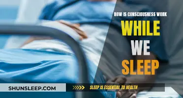 The Brain's Subconscious Work: Understanding Sleep Consciousness