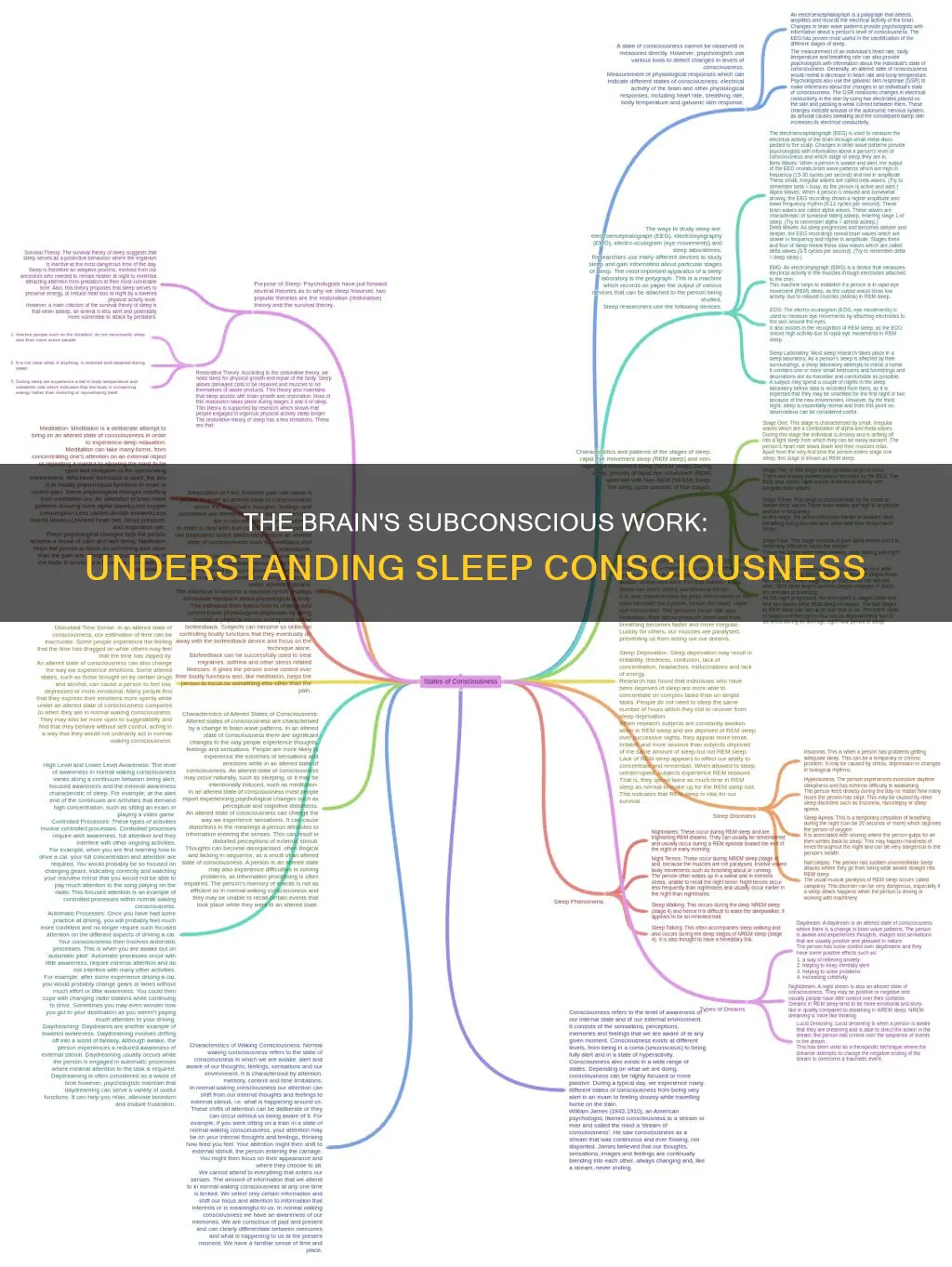 how is consciousness work while we sleep