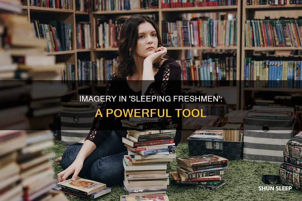 how is imagery used in sleeping freshmen never lie