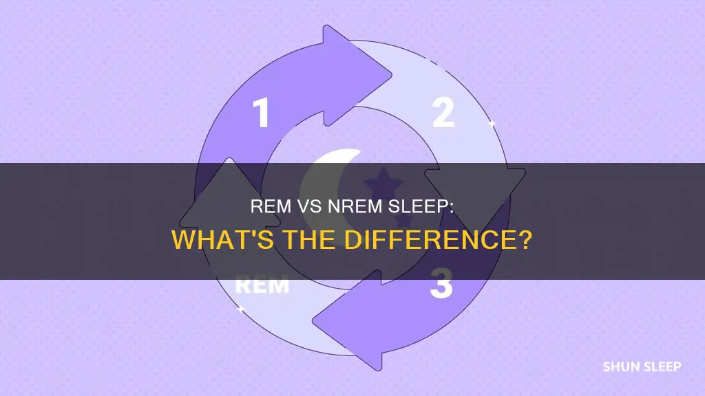 how is rem fresh different from nrem sleep