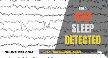 REM Sleep Detection: Understanding the Brain's Activity