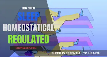 Understanding REM Sleep: Homeostatic Regulation Explained