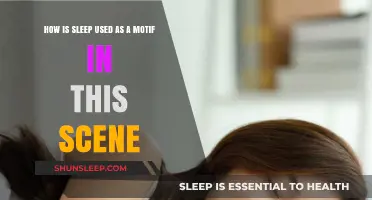 Sleep's Motif: Exploring Its Role in the Scene