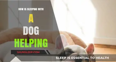 Sleeping with Your Dog: Surprising Benefits for Health and Bonding