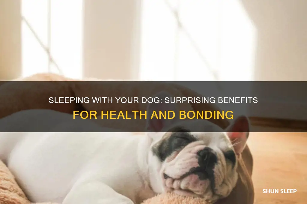 how is sleeping with a dog helping
