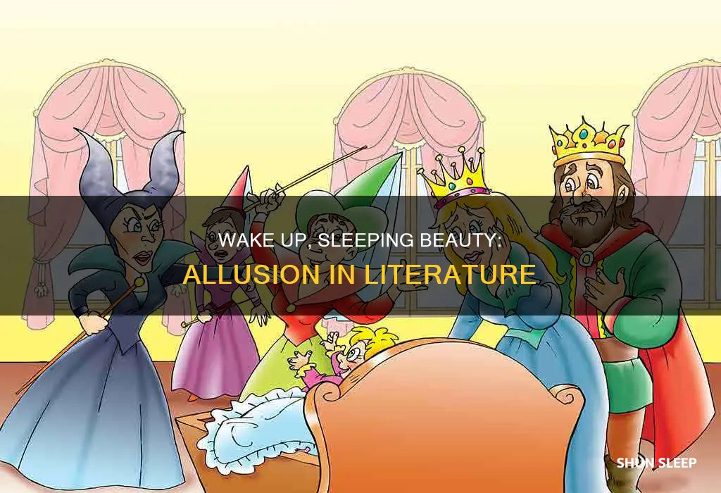 how is wake up sleeping beauty an allusion