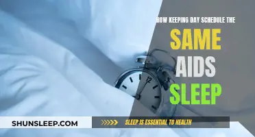 Consistent Daily Routine: A Sleep Aid Strategy