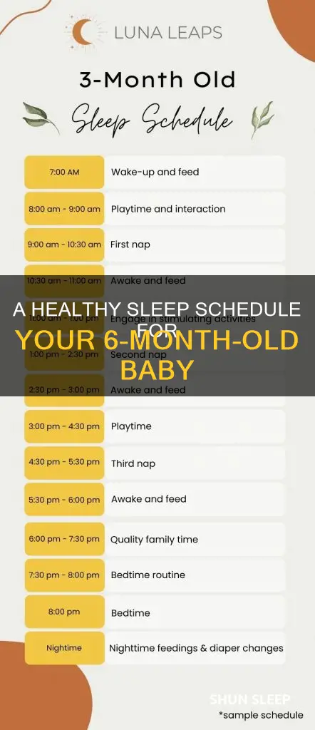 how lomg should 6 month old sleep for daily