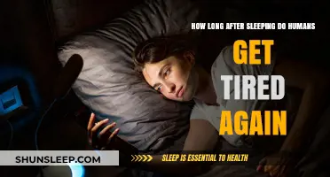 Understanding Sleep Cycles: When Does Post-Sleep Fatigue Return?