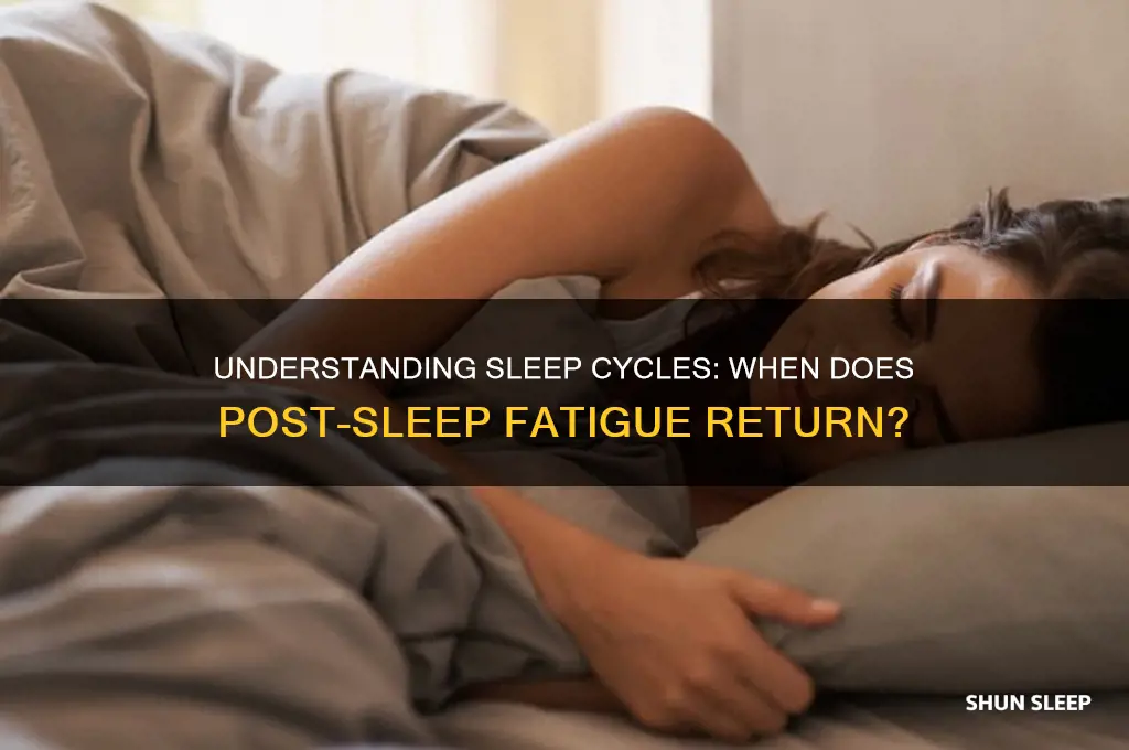 how long after sleeping do humans get tired again