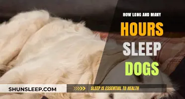 Understanding Canine Sleep Patterns: Duration and Hours for Optimal Rest
