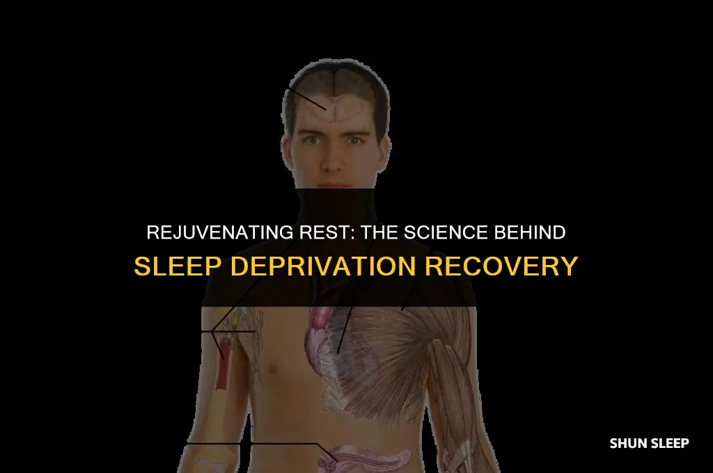 how long do you sleep after 72 hours without sleep