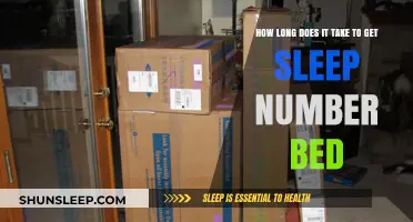 Sleep Number Bed Delivery Time: What to Expect for Your New Mattress