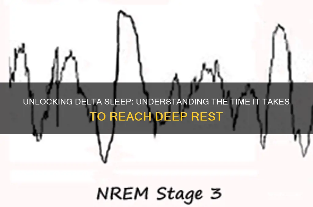 how long does it take to get to delta sleep