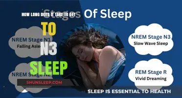 Understanding N3 Sleep: Timeframe to Reach Deep Sleep Stages