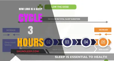 Understanding Sleep Cycles: Is 3 Hours Enough for Rest?