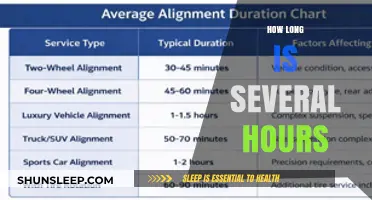 Understanding Time: What Does 'Several Hours' Really Mean?