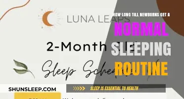 Newborn Sleep Patterns: When Will Your Baby’s Routine Normalize?