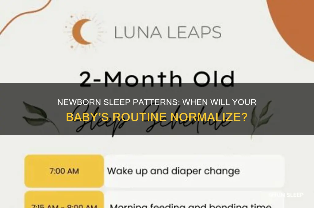how long till newborns get a normal sleeping routine